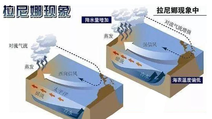 拉尼娜现象最新动态报告,最新信息解析