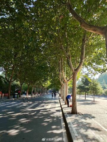 郑州财经学院最新动态，小巷深处的独特风情小店探索
