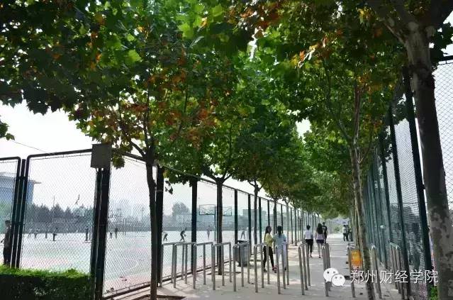 郑州财经学院最新动态,小巷深处的独特风情小店探索