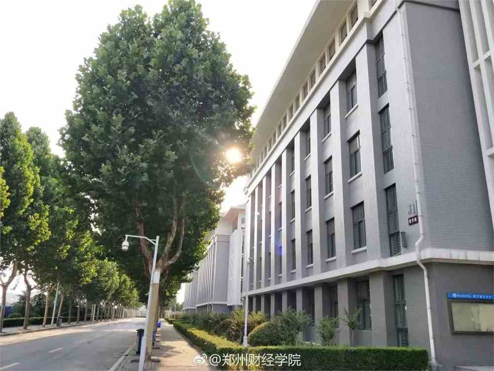 郑州财经学院最新动态,小巷深处的独特风情小店探索