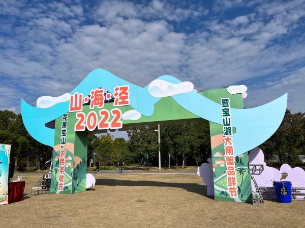 王者荣耀最新天幕抽奖活动，变化中的学习之旅，自信与成就感的源泉