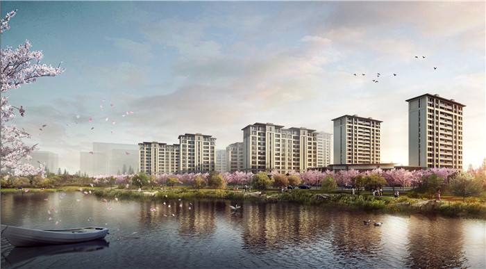 大鹏新区最新楼盘，投资与居住的优选之地