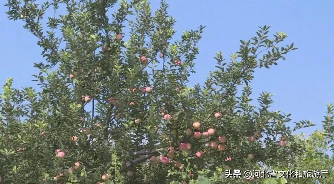 全国本土新增病例逐渐清零，探索自然美景的绝佳时机