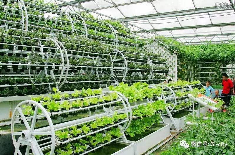 农业种植蔬菜最新技术与小巷深处的绿色奇迹