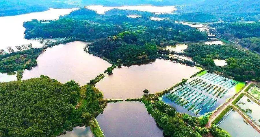 东莞同沙生态公园最新动态及游玩攻略