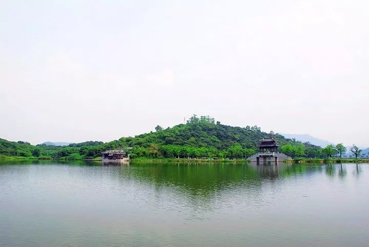 东莞同沙生态公园最新动态及游玩攻略