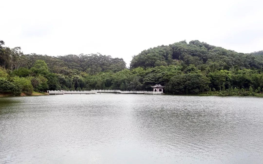 东莞同沙生态公园最新动态及游玩攻略