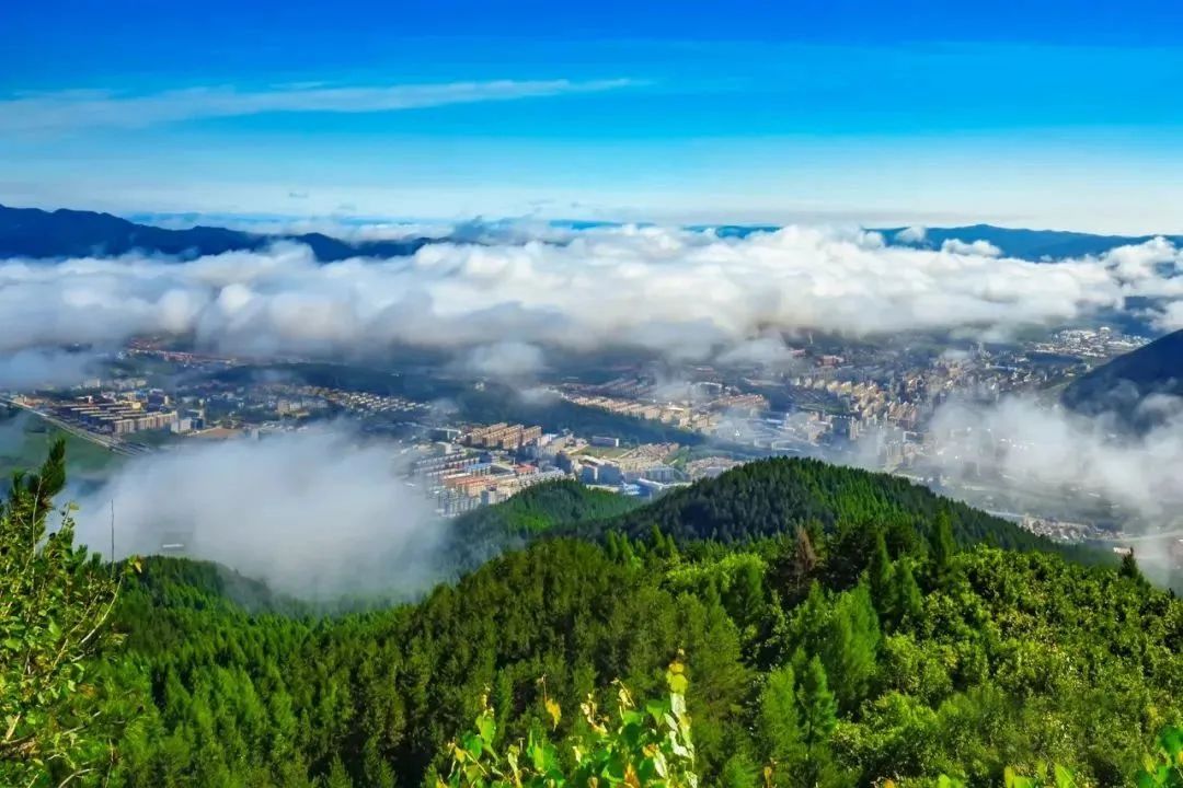 王孟源最新博文,探索自然美景之旅,寻觅内心平和之地