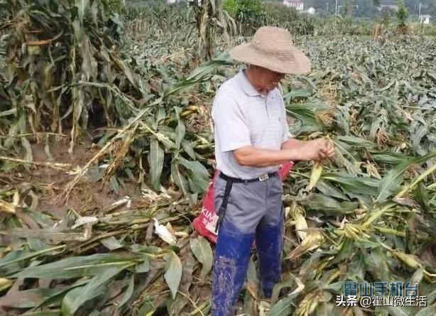 霍山县改市最新动态,历史背景、重要事件与地位影响全解析