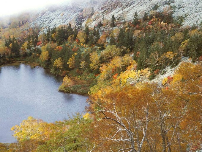 孟小舟最新动态,自然美景探索之旅,心灵宁静的启示