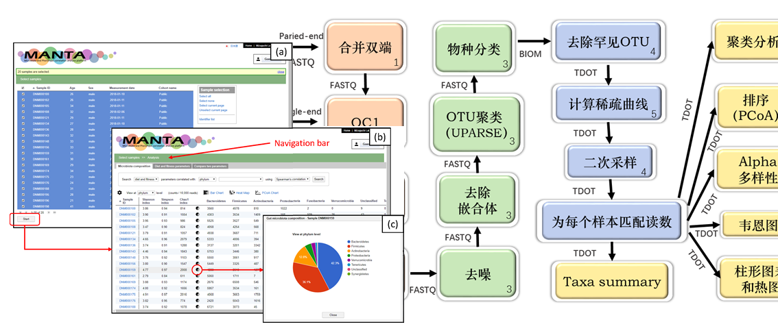 白小组正版免费资料,数据导向程序解析_PWN23.543知识版
