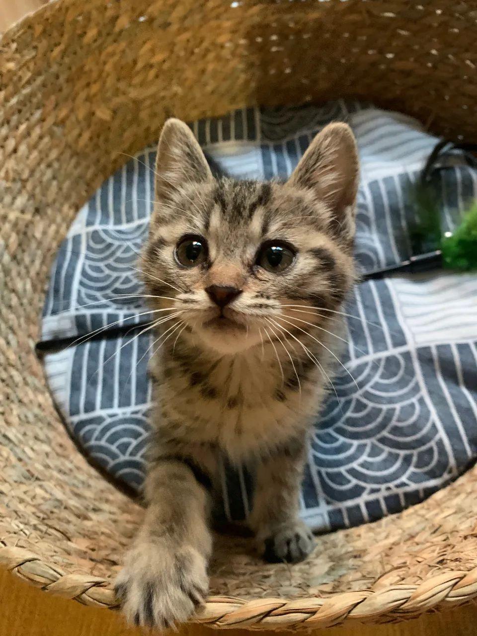 B站最新地址,探索日常冒险的奇妙之旅