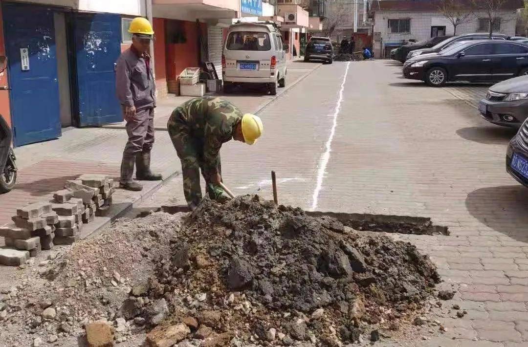 力久热最新版,点燃学习热情,自信塑造未来之路