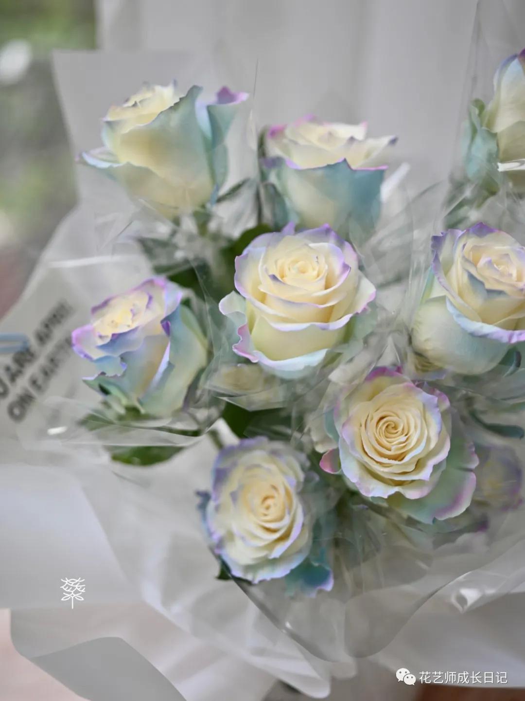 欧若拉最新版,梦幻音乐之旅启航,准备追随旋律的召唤!