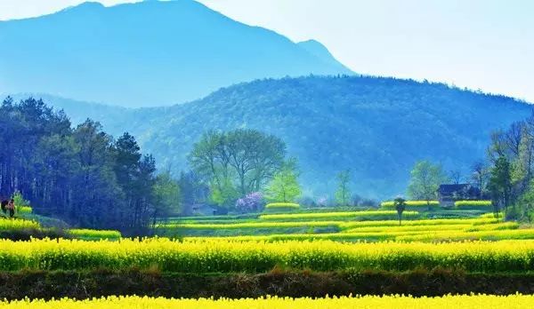 局中人在线观看最新,局中人在线观看最新,一场自然美景的心灵之旅