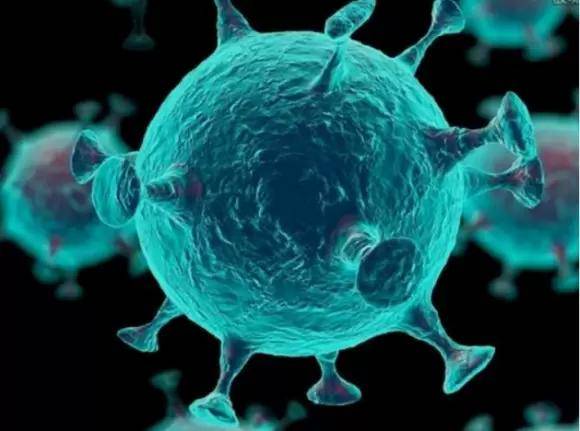 美国新冠病毒疫情最新更新概况