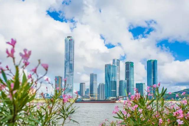 澳门精准资料大全免费使用,深度研究解析_YQW23.816效率版