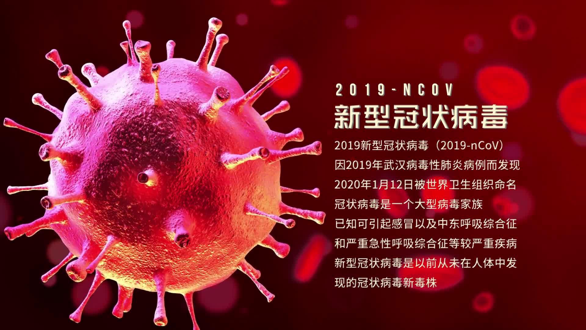 全球冠状病毒疫情最新动态更新🌐📣