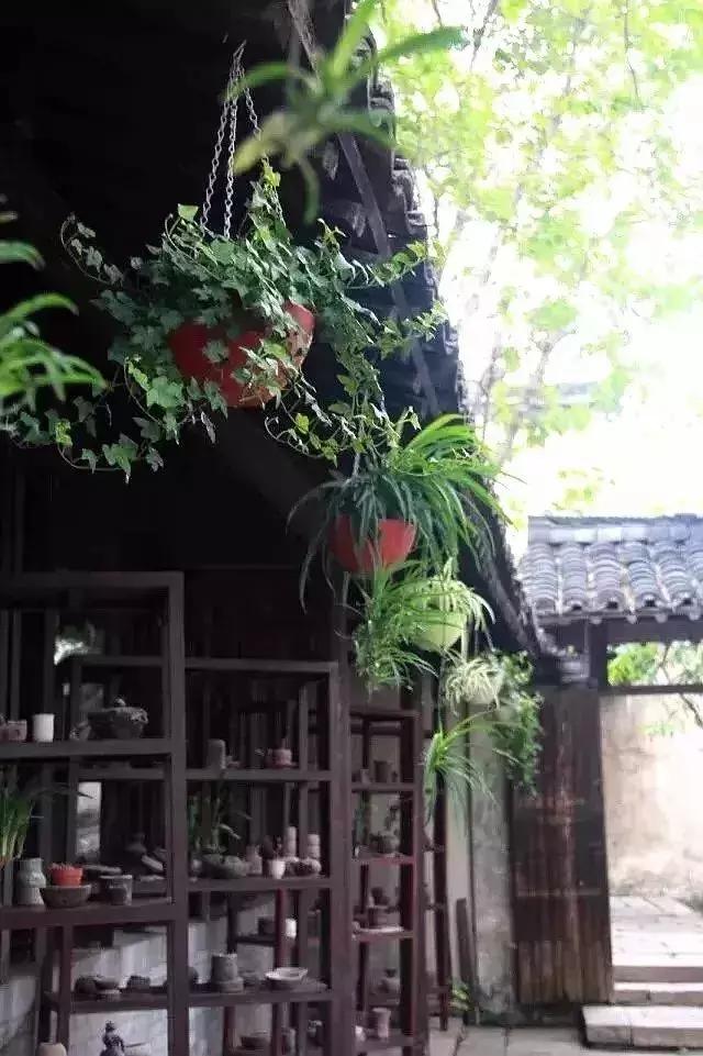 华为最新款手机即将上市，探索自然美景，启程内心平静之旅