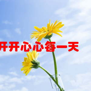 科技与情感融合，最新问候动态表情图重塑沟通新体验