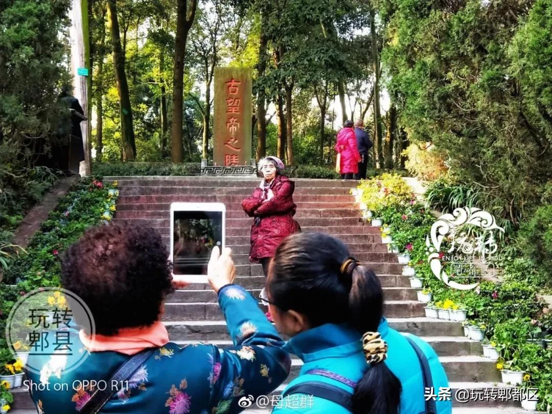 郫都疫情最新动态及小巷深处的独特风味