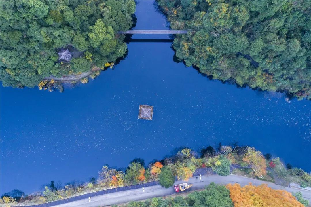 最新款入户门，开启自然美景之旅，内心平和宁静之门