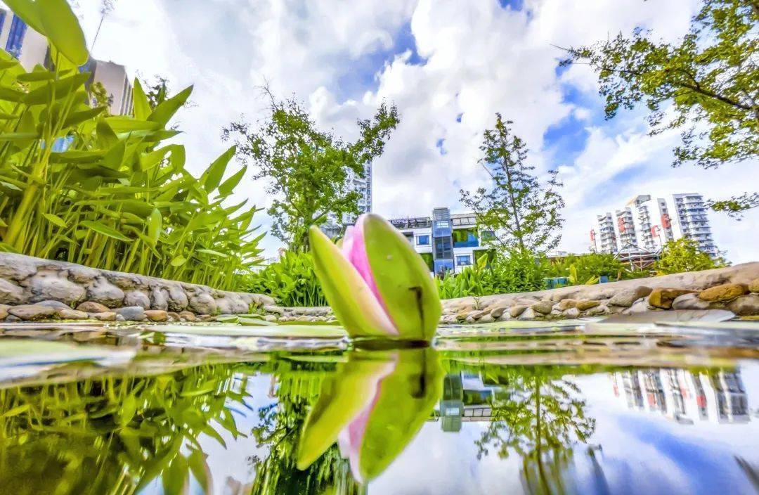 申鑫最新动态，全面指南助你完成任务或学习新技能技巧