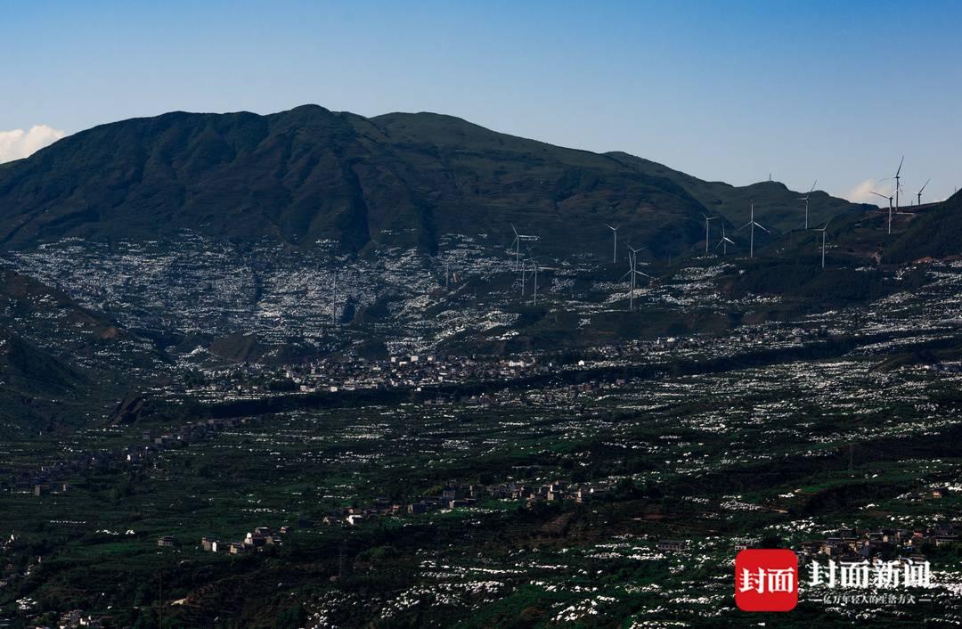 最新型铺膜机，解决薄膜铺设难题的利器！
