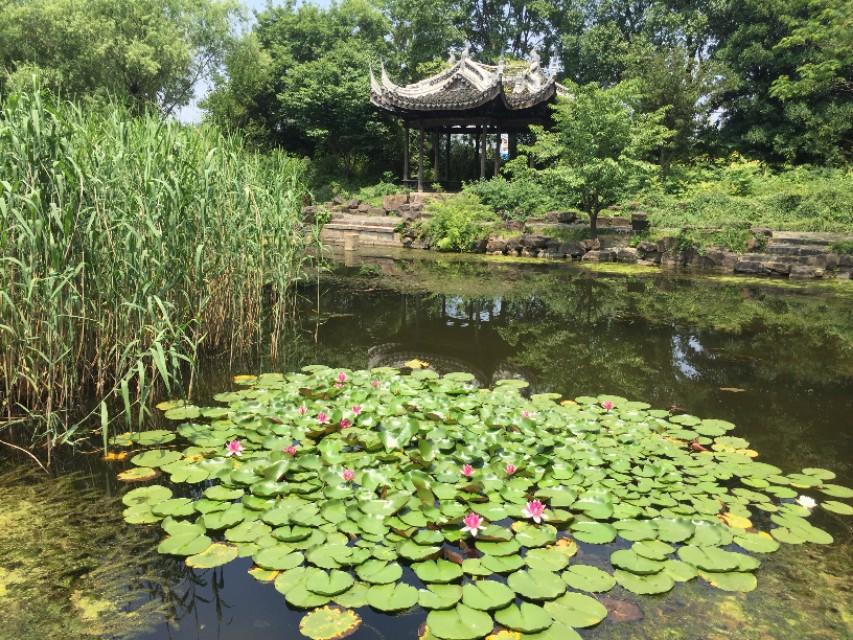 最新科技技术探索，开启自然美景之旅的平静之旅