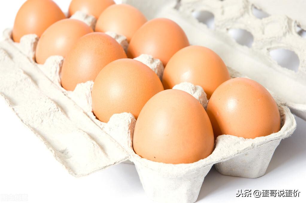 河南鸡蛋温情故事,今日价格与深厚友情