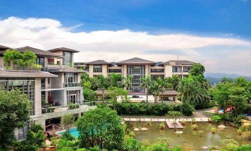 河北肃宁最新动态，观点阐述与分析