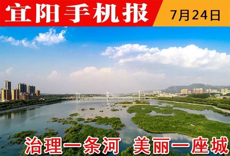 宜阳县手机报最新报道概览