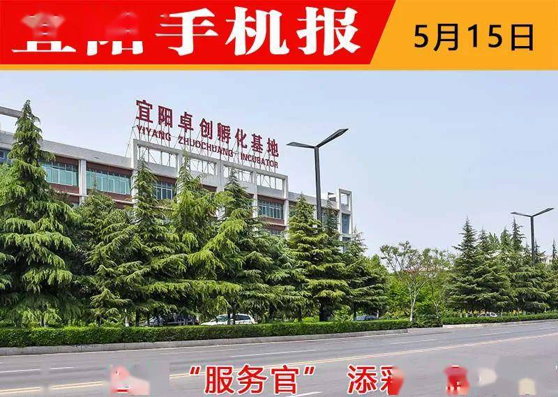 宜阳县手机报最新报道概览