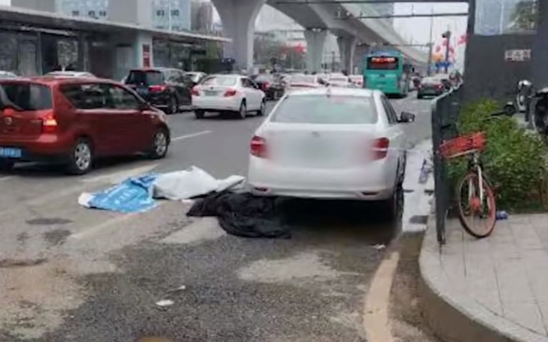 最新网约车司机猝死事件,自然美景呼唤内心平静之旅