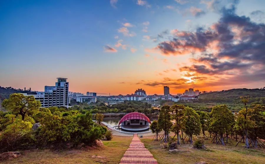 最新动态 第10页