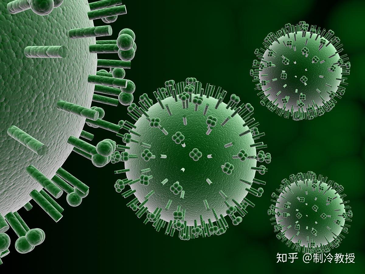 北京新型病毒感染最新论述，最新动态与解析