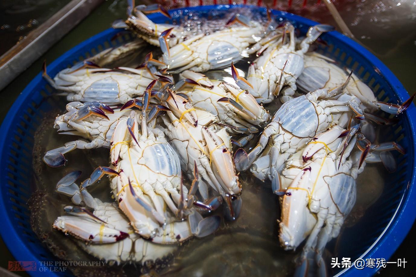 东海高铁最新信息及小巷美食探秘之旅