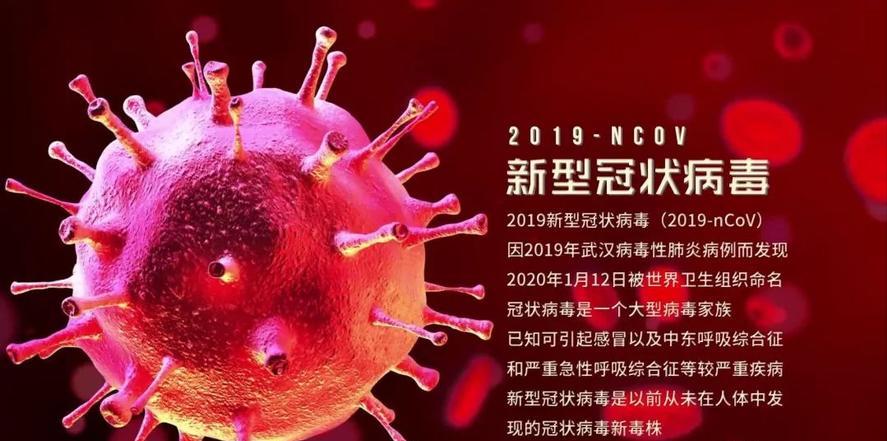 青岛冠壮病毒最新疫情论述与分析