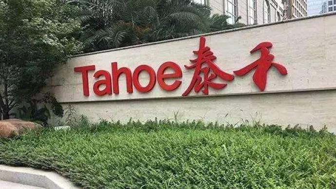 泰禾负债率最新揭秘,小巷中的财富秘密