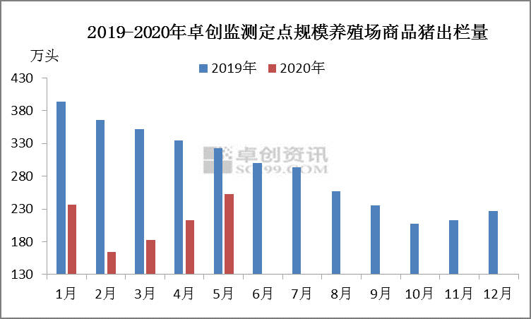 澳大利亚役情最新,澳大利亚疫情最新形势下的多元观点分析