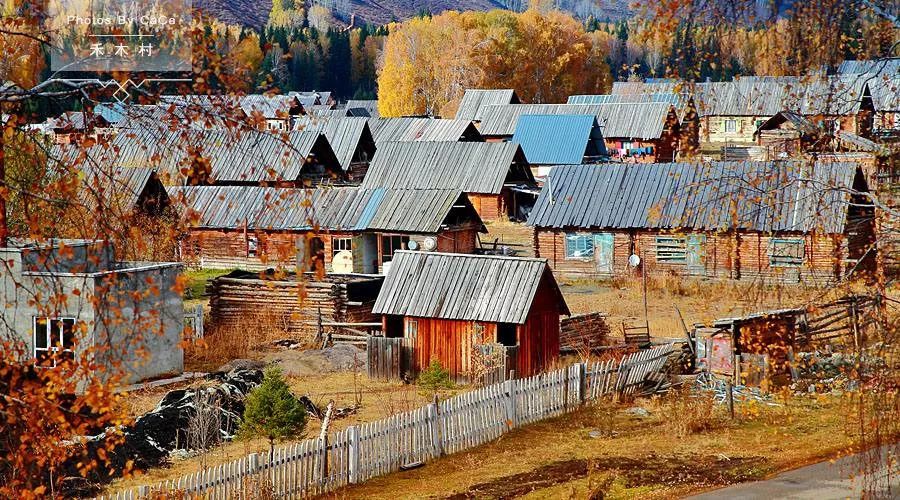 中国疫情最新新疆消息,小巷深处的独特风情与隐秘瑰宝