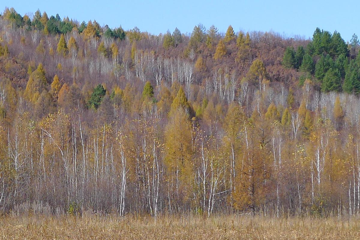 最新贷款口子助力探索自然美景之旅
