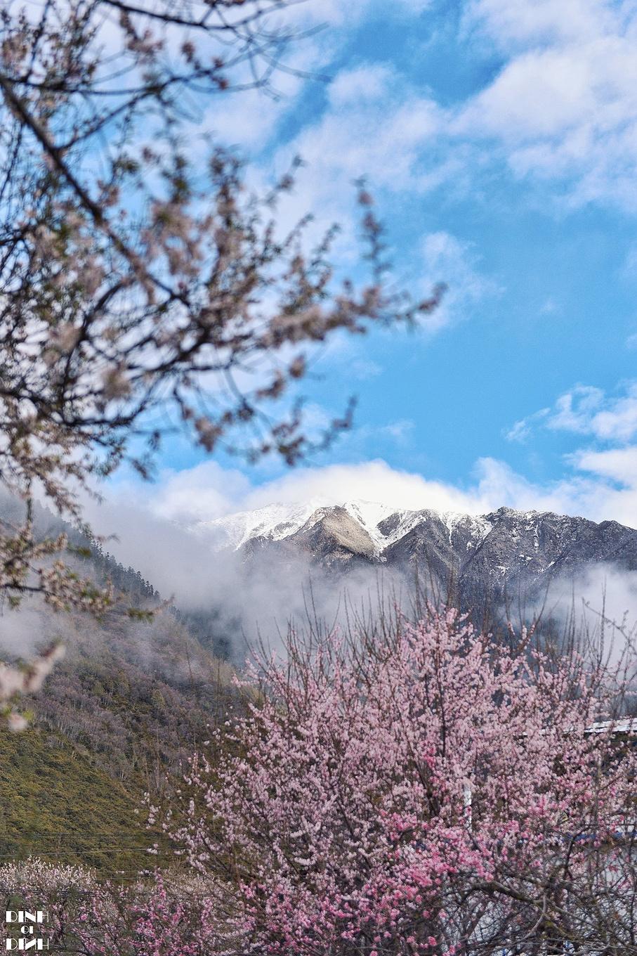 最新贷款口子助力探索自然美景之旅