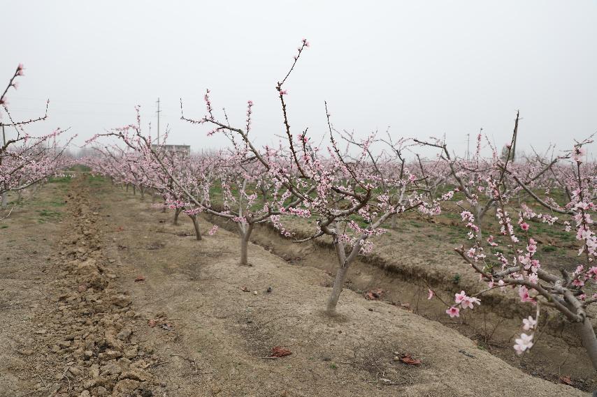 最新贷款口子助力探索自然美景之旅