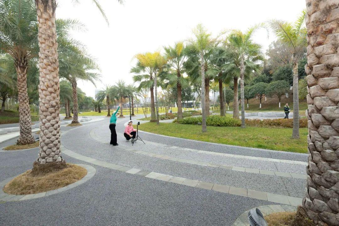 废旧塑料回收价格最新动态，小巷里的绿色财富探索