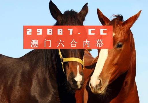 一点红澳门一肖一码,具象化表达解说_VKJ10.274数字处理版