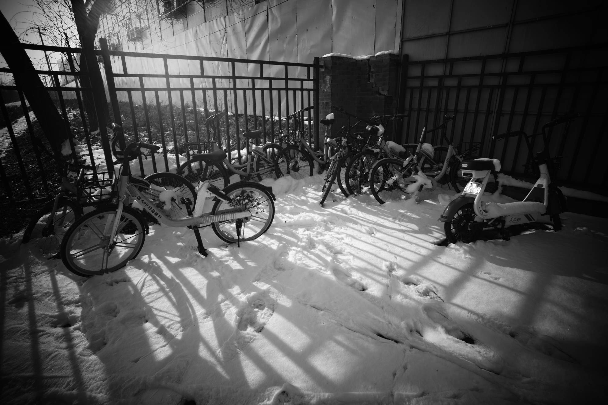 美国北京疫情最新动态,疫情下的温情日常