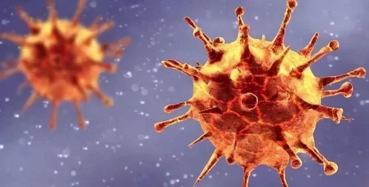 全国新冠病毒最新情况详解,了解与应对的实用指南