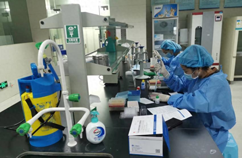 全国新冠病毒最新情况详解,了解与应对的实用指南