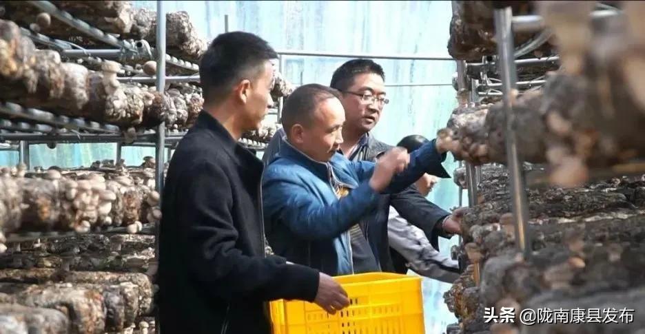 教育部最新大学通知，开启学习新篇章，培养自信与成就感的源泉